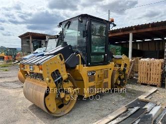 CAT CD44B