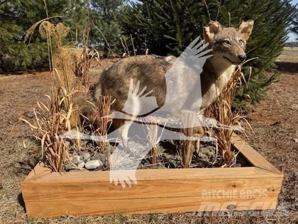 Coyote  Stavebníctvo - ostatné