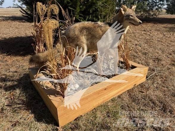 Coyote  Stavebníctvo - ostatné