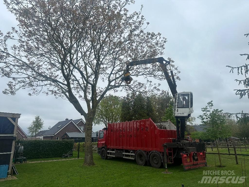 DAF cf As75pc Nákladné vozidlá na prepravu dreva