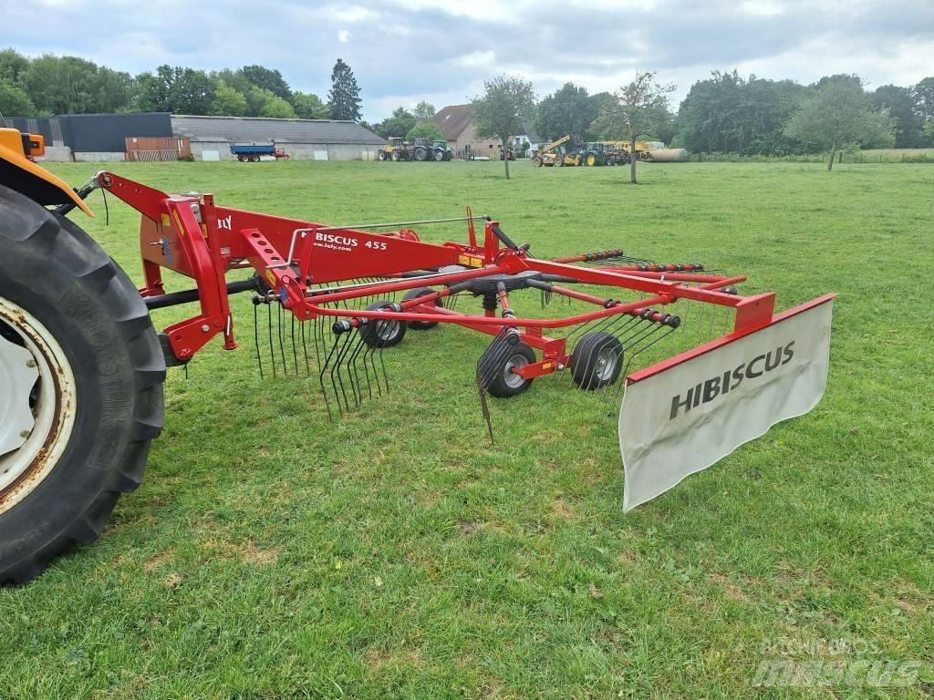 Lely Hibiscus 455 Riadkovače