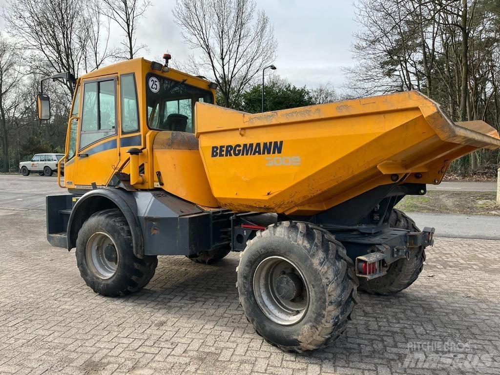 Bergmann 3009 R Kĺbové nákladné autá