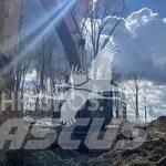 CAT 349EL Pásové rýpadlá