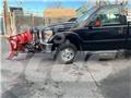 Ford F 350 Plošinové nákladné automobily/nákladné automobily so sklápacími bočnicami