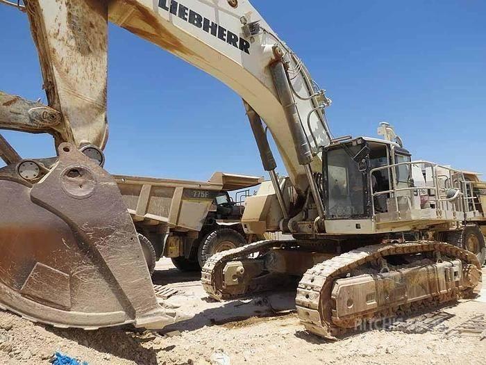 Liebherr R9150 Špeciálne bagre