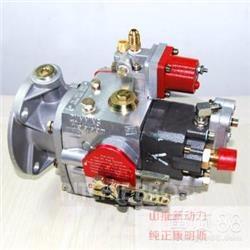 Cummins 4951451-20 Motory