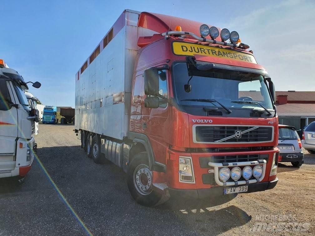 Volvo FM12 Nákladné automobily na prepravu zvierat