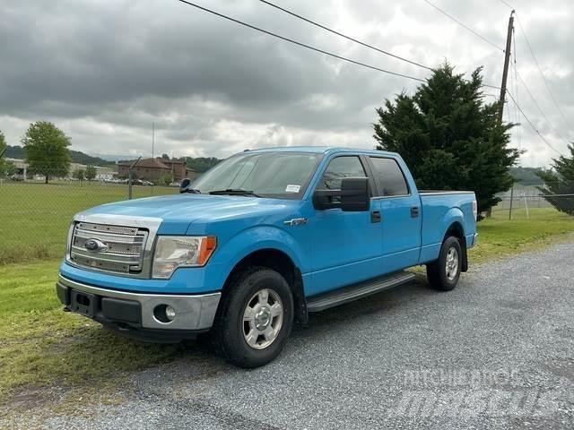 Ford F-150 Iné