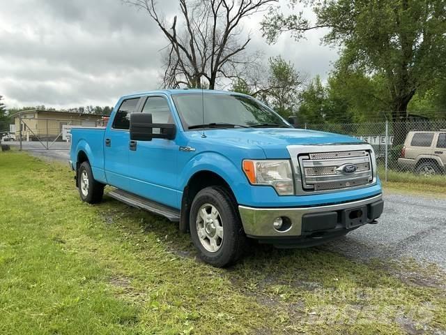 Ford F-150 Iné