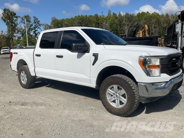 Ford F-150 Nakladacia/sklápacia bočnica