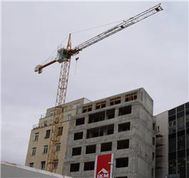 Liebherr 30 LC