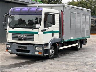 MAN TGL 8.210 Euro5 1.Stock Stehmann