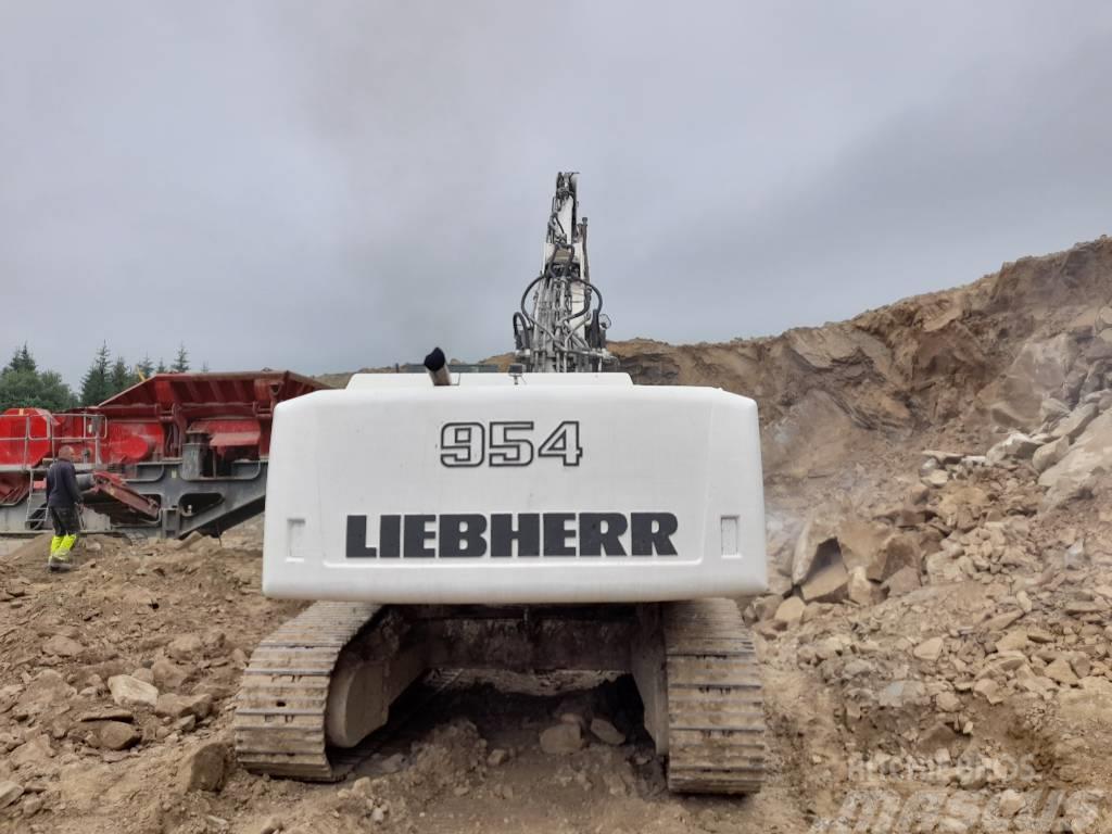 Liebherr R 954 C HD Pásové rýpadlá