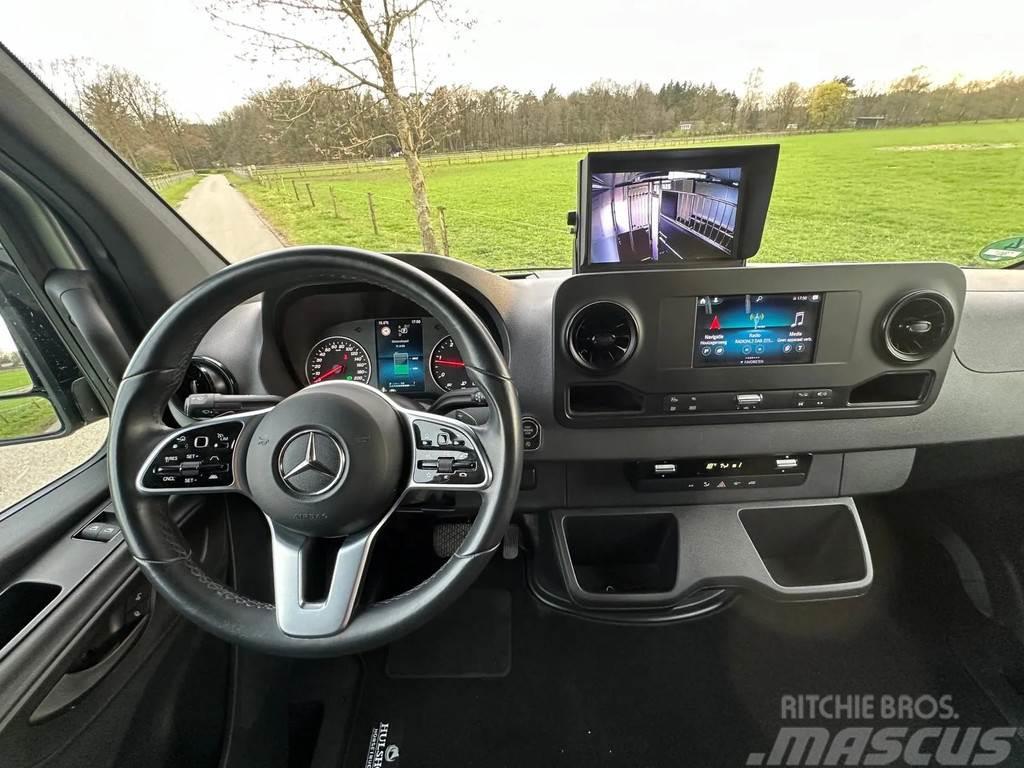 Mercedes-Benz Sprinter AMG 2-paards paardenvrachtwagen B-rijbewi Nákladné automobily na prepravu zvierat