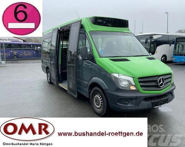 Mercedes-Benz Sprinter 314 Mobility / 316 / 514 / 516 / Rampe Minibusy