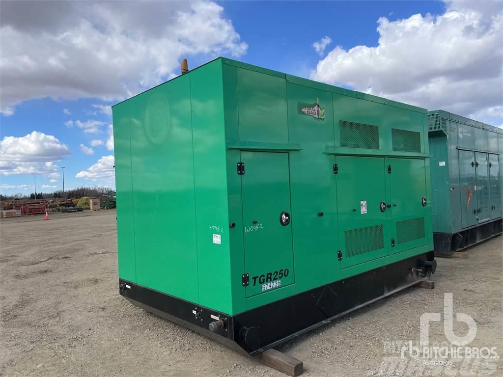 Taylor HC1434D Naftové generátory